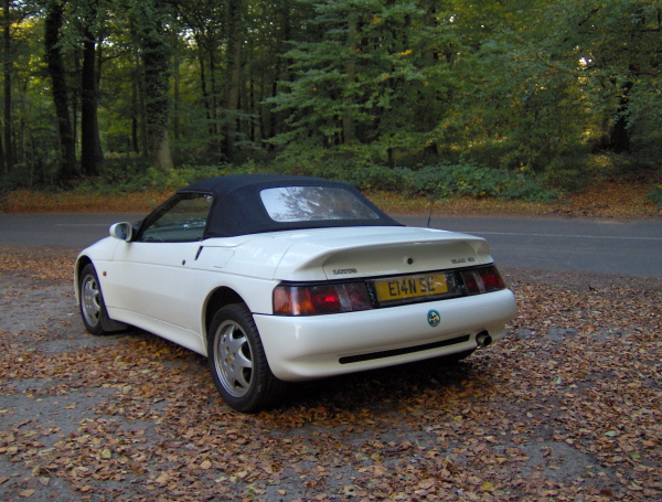 Autum 2 393.jpg